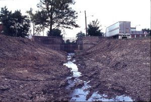 NBHA slides1288